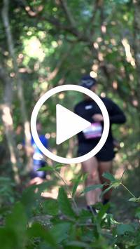 BIB:  <button type="button" onclick="openModal(28063719)" class="btn btn-primary btn-sm float-right" data-toggle="modal" data-target=".modal-high-quality">
                <i class="fa fa-download"></i> Download
                </button>